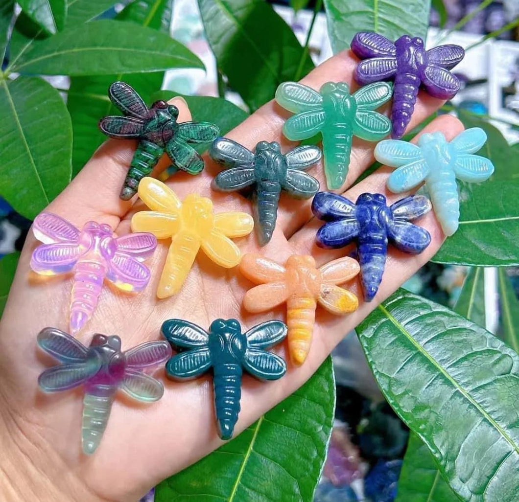 Dragonfly Carvings